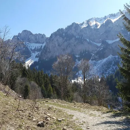 L'etoile Du Leman *
